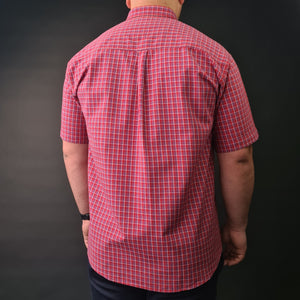 a man in a red and white checkered shirt